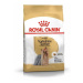 Royal Canin Yorkshire terrier granule 1,5 kg