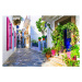 Fotografie Charming traditional narrow streets of greek, Freeartist, 40 × 26.7 cm