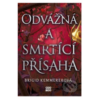 Odvážná a smrtící přísaha - Brigid Kemmerer - kniha z kategorie Beletrie pro děti