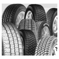 Goodyear EfficientGrip Cargo 2 ( 215/65 R16C 106/104H 6PR )