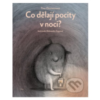 Co dělají pocity v noci? - Tina Oziewicz, Aleksandra Zając (ilustrátor) - kniha z kategorie Nauč