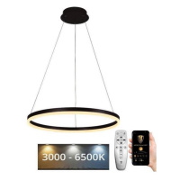 Brilagi Brilagi - LED Stmívatelný lustr na lanku CIRCLE LED/42W/230V 3000-6500K + DO