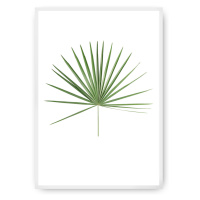 Dekoria Plakát Tropical Leaf Green, 70 x 100 cm, Vybrat rám: Bílý