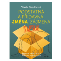 Podstatná a přídavná jména, zájmena expres | Vlasta Gazdíková