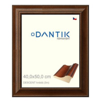 DANTIK rámeček 40 × 50, DESCENT hnědý sklo čiré