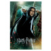 Plakát Harry Potter - Deathly Hallows - Snape (54)