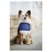 Vsepropejska Taya reflexní pláštěnka pro psa Barva: Vínová, Délka zad (cm): 29, Obvod hrudníku: 