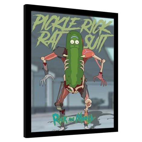 Obraz na zeď - Rick & Morty - Pickle Rick, 34.3x44.5 cm Pyramid