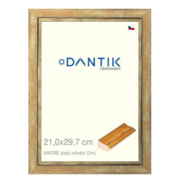 DANTIK rámeček 21 × 29,7, ANDRE zlatý střední sklo čiré