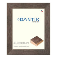 DANTIK rámeček 40 × 50, TOMAS šedý velký sklo čiré