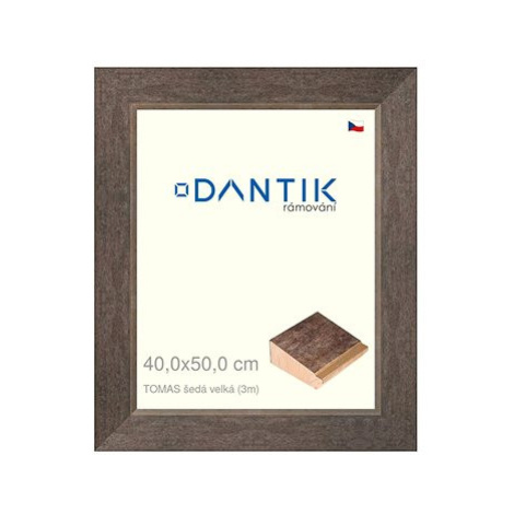 DANTIK rámeček 40 × 50, TOMAS šedý velký sklo čiré