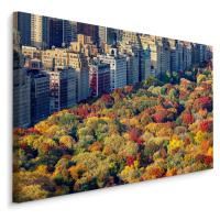 Plátno Letecký Pohled Na Central Park Varianta: 40x30