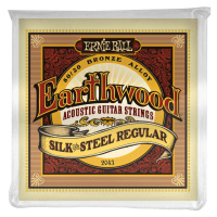 Ernie Ball 2043 Earthwood Silk & Steel Regular