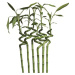 2G Lipov Přikrývka Bamboo celoroční - 200x200 cm