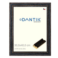 DANTIK rámeček 30 × 40, LYON černý plexi čiré