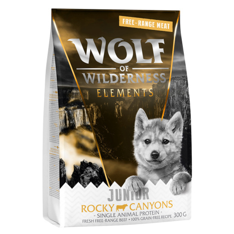 Wolf of Wilderness JUNIOR "Rocky Canyons" Beef - 300 g