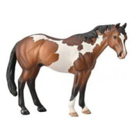 COLLECTA Hřebec Appaloosa Bay Overo Paint