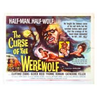 Ilustrace Curse Of Werewolf 02, 40 × 30 cm