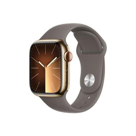 Apple Watch Series 9 Cellular 41mm Zlatá ocel s jílově šedým sportovním řemínkem S/M