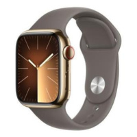 Apple Watch Series 9 Cellular 41mm Zlatá ocel s jílově šedým sportovním řemínkem S/M