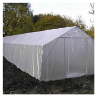 Scobax Growspot Cannabo 5 25,0 x 4,0 m