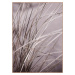 Plakát v rámu 50x70 cm Mellow Grasses 1 – Malerifabrikken