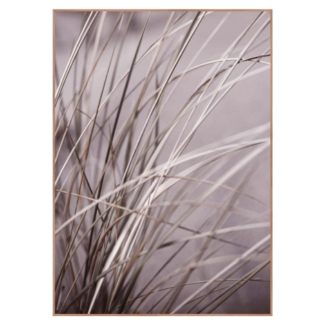 Plakát v rámu 50x70 cm Mellow Grasses 1 – Malerifabrikken