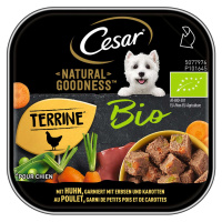 Cesar Natural Goodness Bio s kuřecím masem, hráškem a mrkví 16 × 100 g