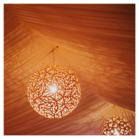 david trubridge david trubridge Sola závěsné světlo Ø 80cm bambus
