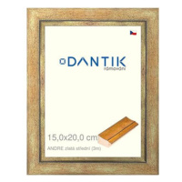 DANTIK rámeček 15 × 20, ANDRE zlatý střední sklo čiré