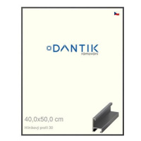 DANTIK rámeček 40 × 50, ALU profil 6030 Dýha barevný šedý tmavý sklo čiré