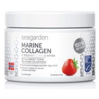 Seagarden Marine Collagen+Vitamin C 150g jahoda