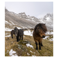 Fotografie Resilience, Karsten Wrobel, 35 × 40 cm