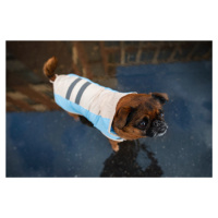 Vsepropejska Roy reflexní pláštěnka pro psa Barva: Modrá, Délka zad (cm): 29, Obvod hrudníku: 34