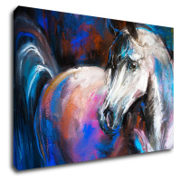 Impresi Obraz Barevný kůň - 90 x 60 cm