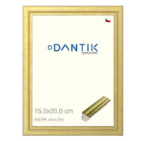 DANTIK rámeček 15 × 20, ANDRE zlatý sklo čiré