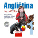 Angličtina se zvířátky 1 - CD /1ks/