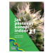 Jak pěstovat konopí indoor 2.1