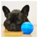 Akinu chladicí míč SNACK hračka pro psy 6,5cm