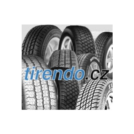 Bridgestone T 31 R ( 190/55 R17 TL (75W) zadní kolo, M/C, Variante E )