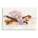 MyBestHome BOX Plátno Vanilkové Tyčinky S Květinami Varianta: 90x60