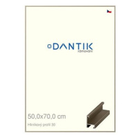 DANTIK rámeček 50 × 70, ALU profil 6030 champagne plexi čiré