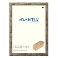 DANTIK rámeček 42 × 59,4, BOX film champagne plexi čiré