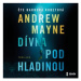 Dívka pod hladinou - Andrew Mayne