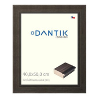 DANTIK rámeček 40 × 50, Gočýr šedý velký sklo čiré