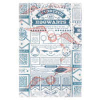 Umělecký tisk Harry Potter - Quidditch at Hogwarts, (26.7 x 40 cm)
