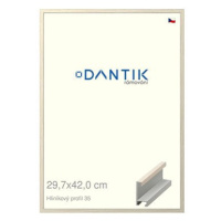 DANTIK rámeček 29,7 × 42, ALU profil 6035 Dýha slonová kost plexi čiré