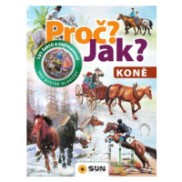 Koně - Proč? Jak? - Hana Jovanovičová