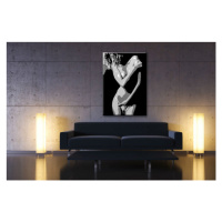 Ručně malovaný POP Art Nude Woman 1 dílný 70x100cm