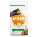 IAMS Cat Adult Lamb 2kg